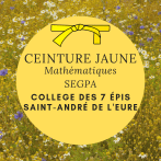 Ceinture Jaune