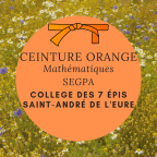 Ceinture Orange