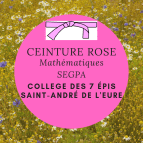 Ceinture Rose